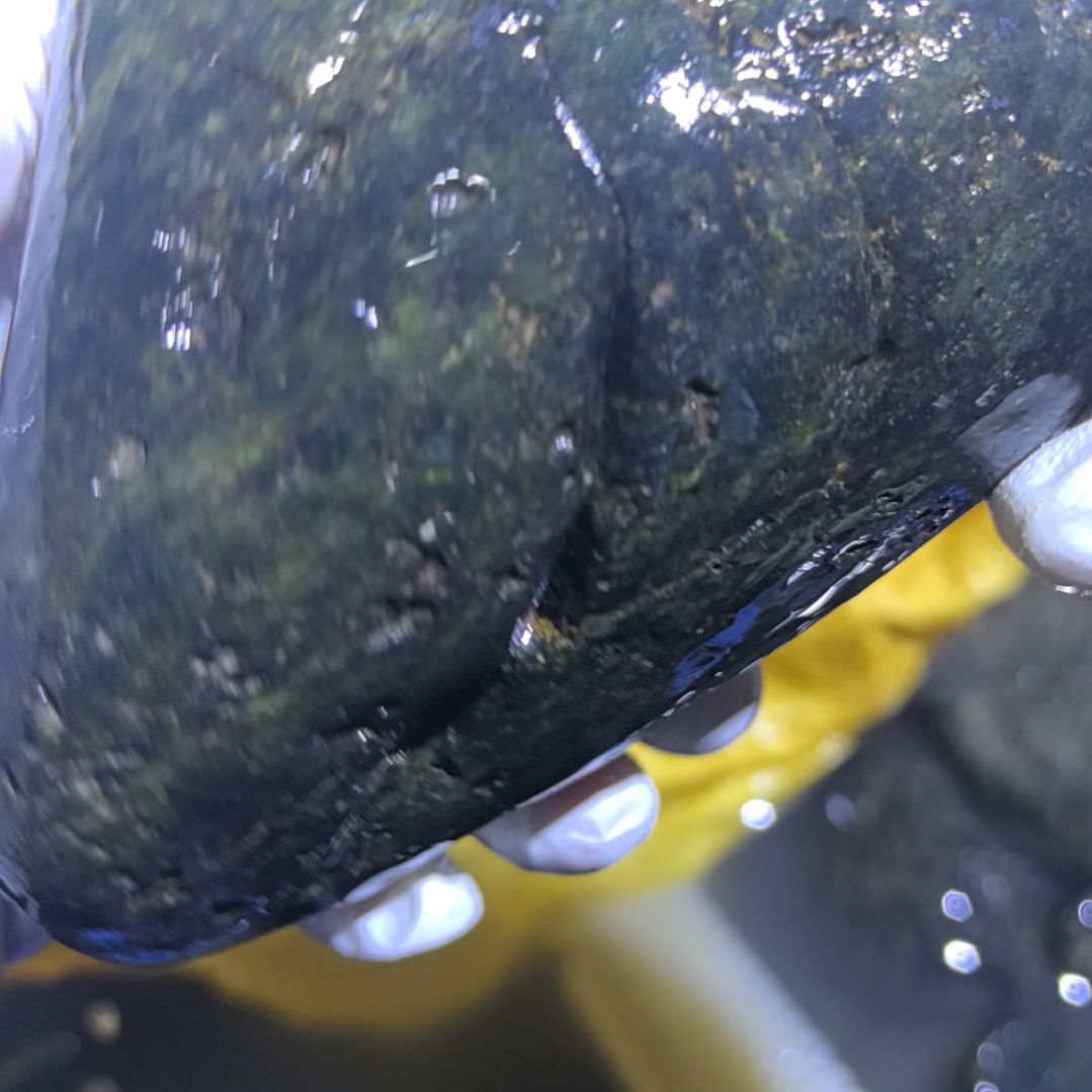 二***镜藏玉药王石原石一个摆件