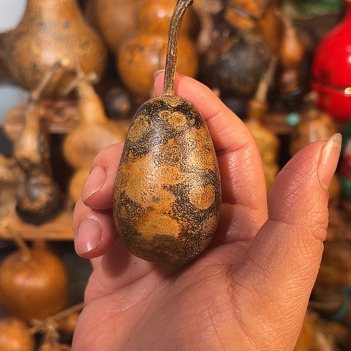 ꧁***꧂小冬瓜。              