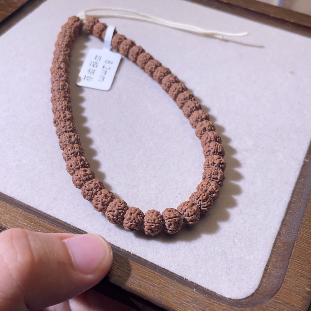 金刚菩提吊坠器**昂平细毕业8.2
