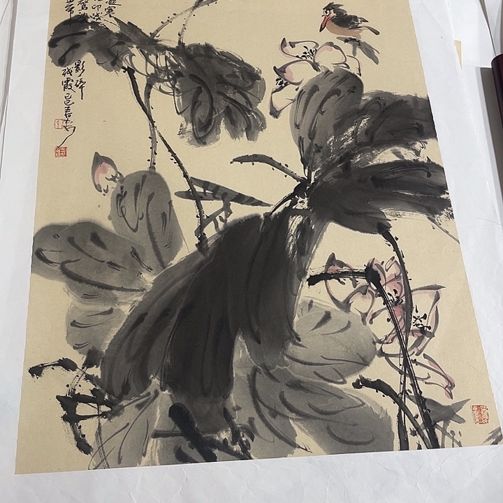 姜奇老师花鸟作品69×46
