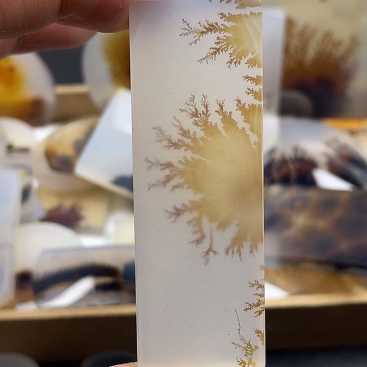 手***四玛瑙/玉髓未镶嵌颈饰