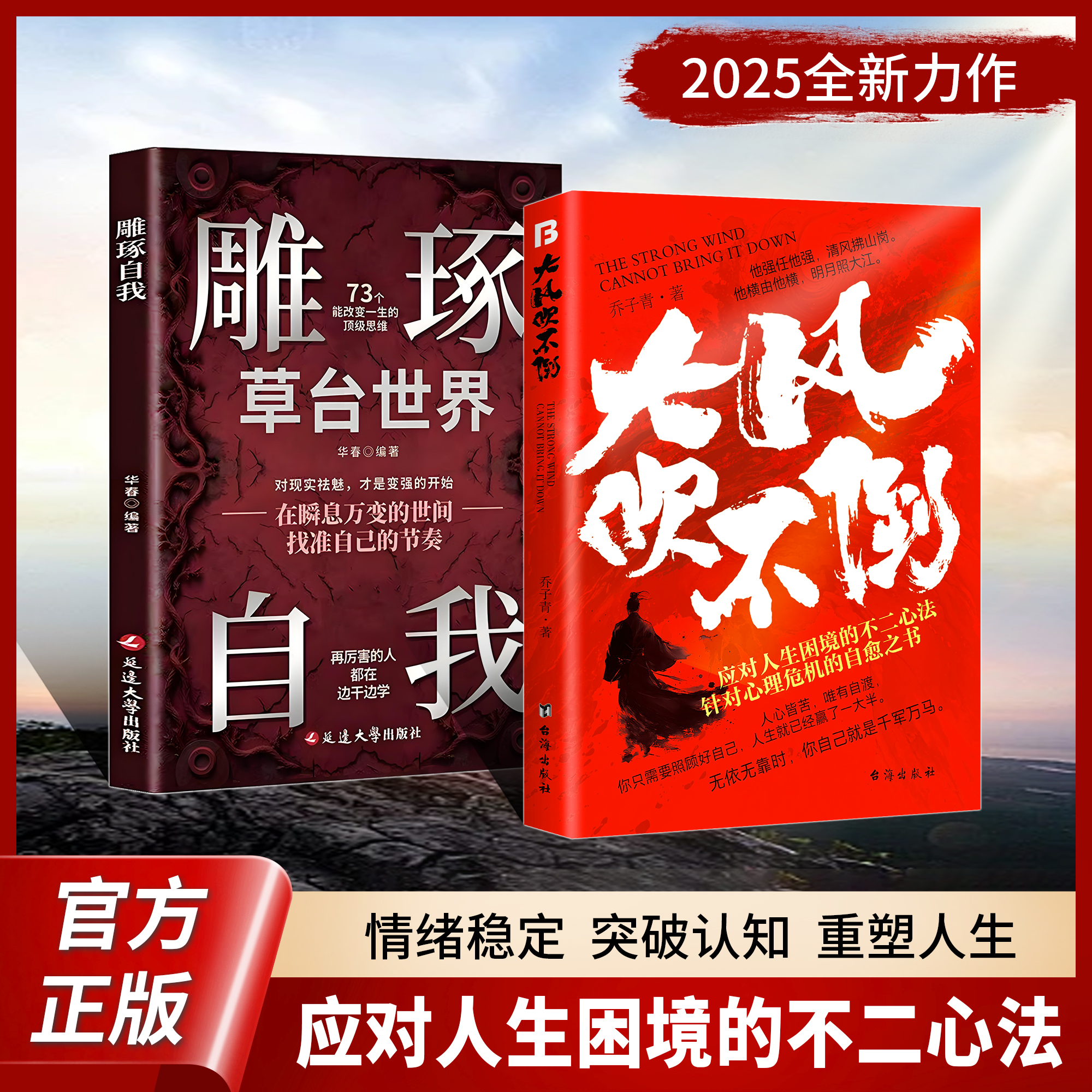 【正版旗舰】大风吹不倒+雕琢自我（2025全新力作心理危机自愈奇书）商品图
