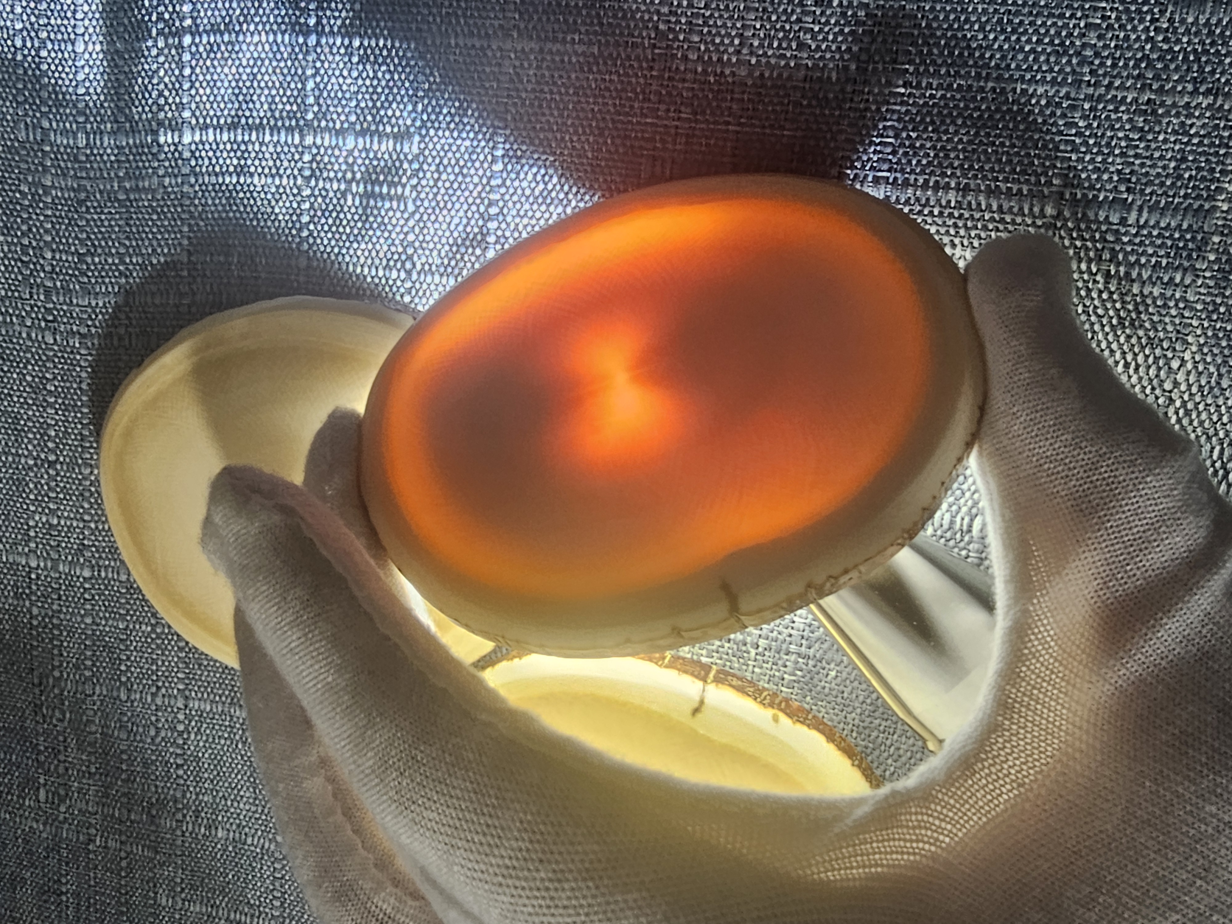 天然猛犸牙随型满纹果冻乳牙圆饼