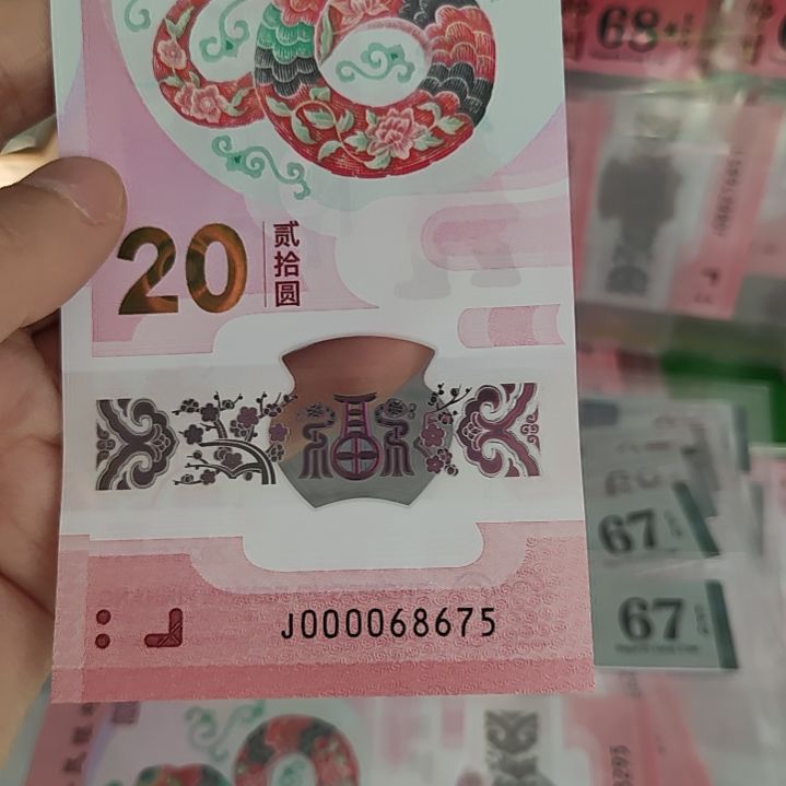 000068675蛇钞塑料钞一张大司令