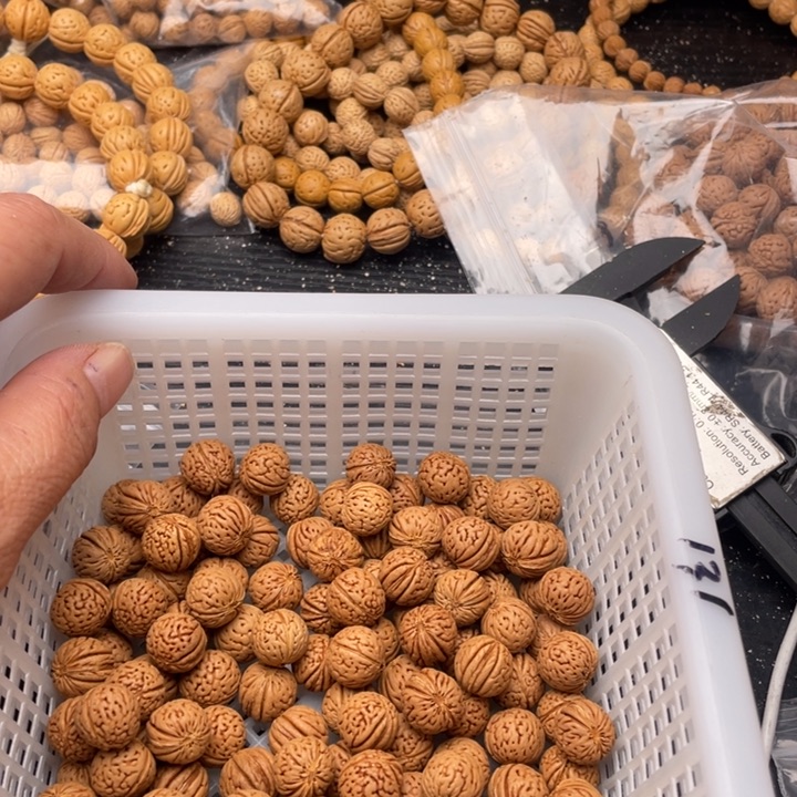 顺***顺散籽批发小桃核120