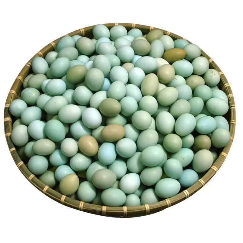 【京东包邮】50枚散养乌鸡蛋绿壳新鲜现捡现发正宗土鸡蛋自养笨鸡蛋