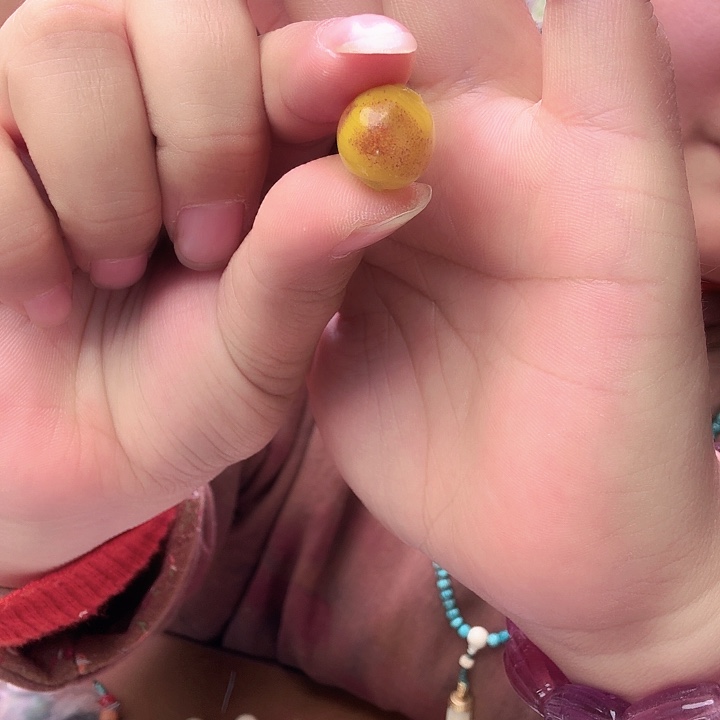 豆***豆琥珀未镶嵌手链不退