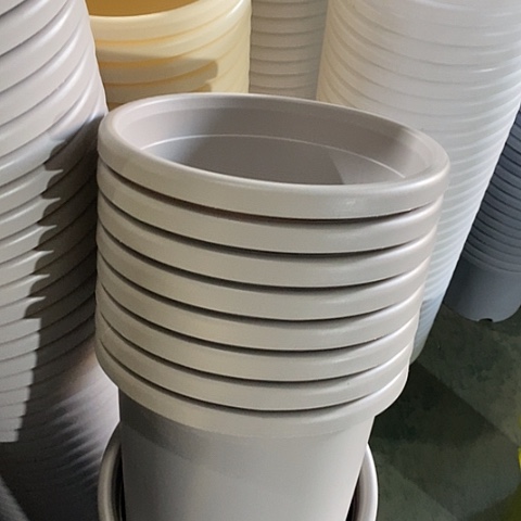 特价4号8个无托灰白