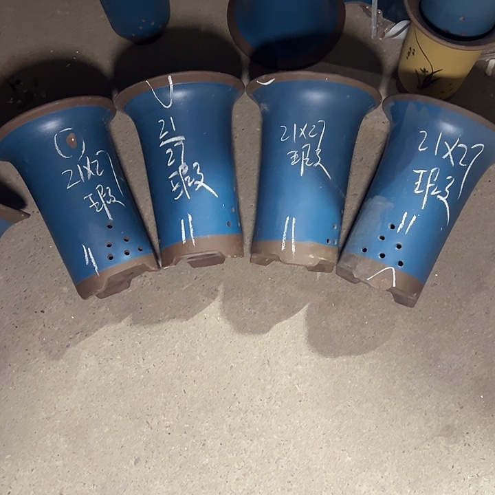 勇**敌周深周深周深周深周深  