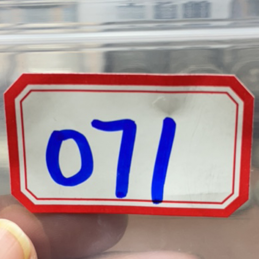 071 复古工艺银元