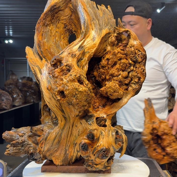 木战****家王一刀琥珀木13