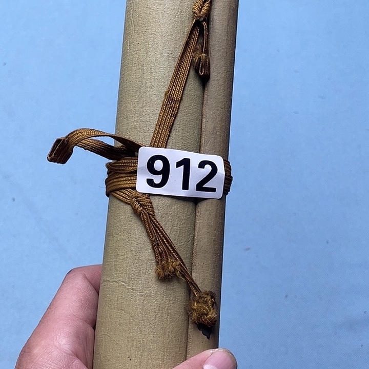 读***古双层神清气爽神清气爽