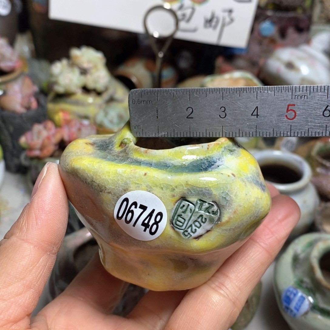 花盆拍3送一个小礼物