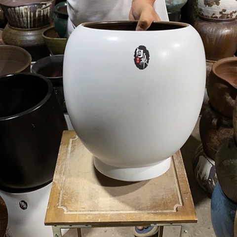 口21高度31白色888