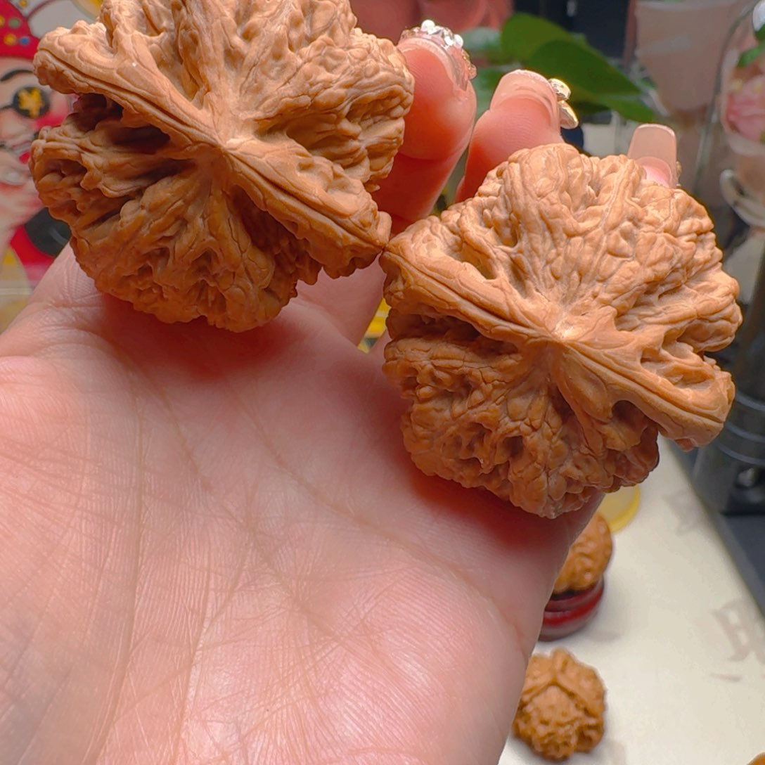 核桃把件43.5尺寸大粗筋