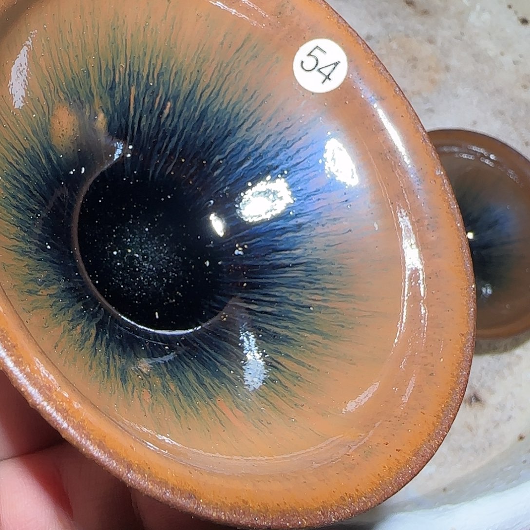 茶盏福利特价活动开始54