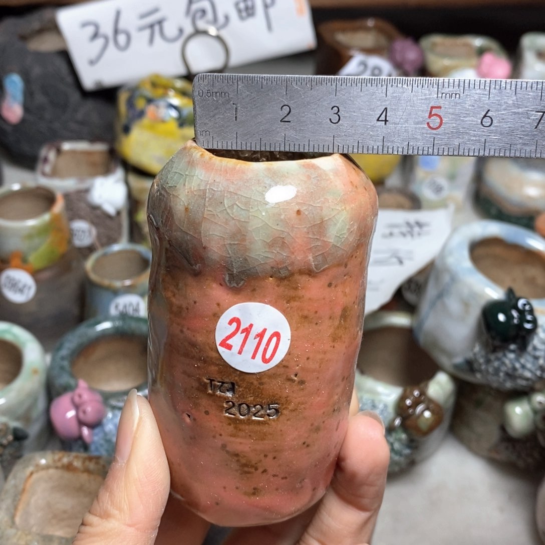 处理的，不退不换的