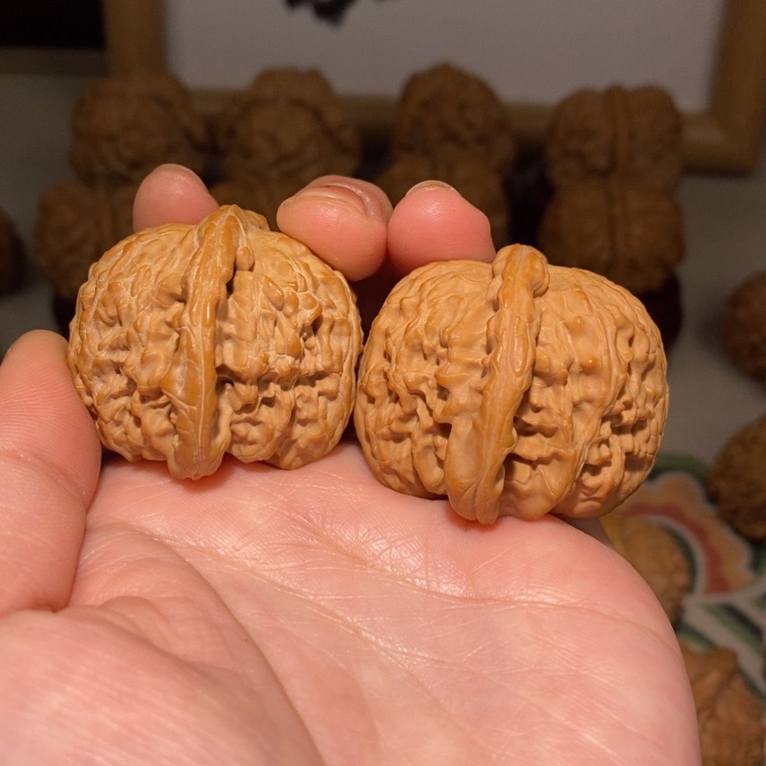 文玩核桃把件39尺白狮子