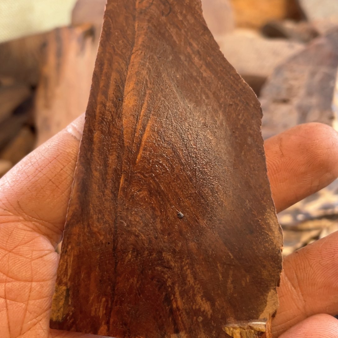 黄花梨/降香黄檀宣