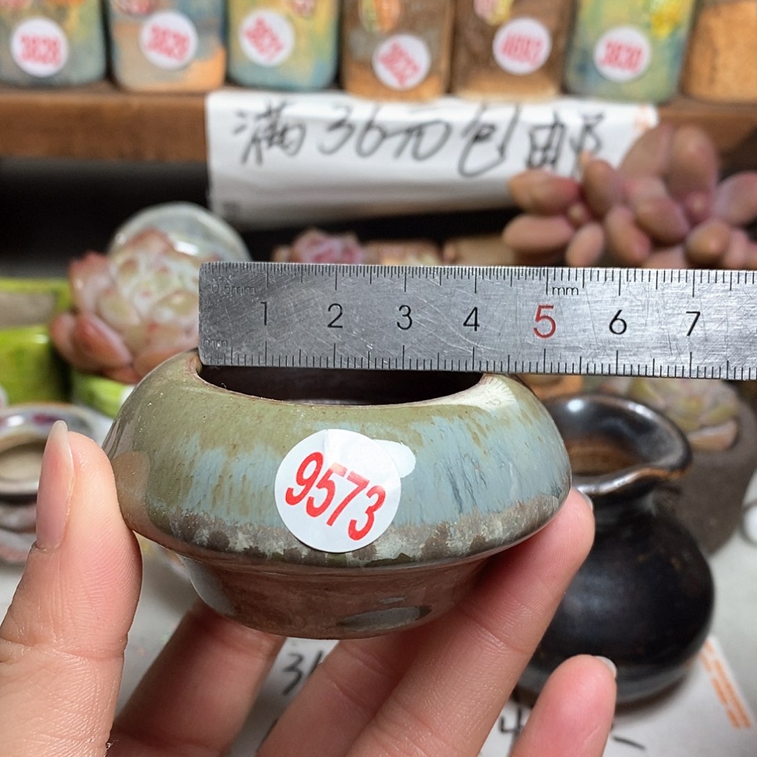 红陶拍5送一个小