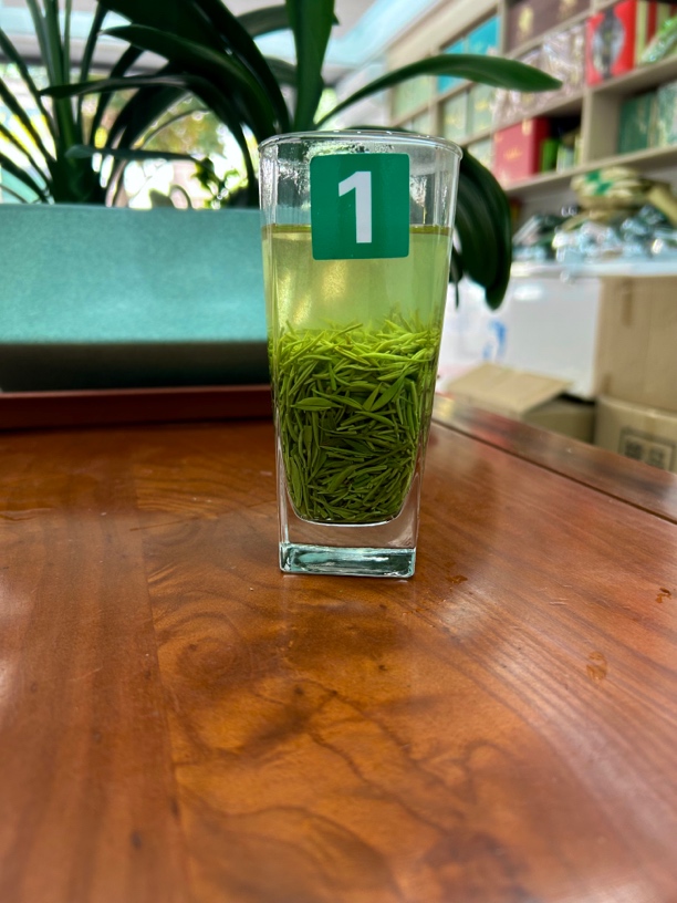 保康高山绿茶2025年明前毛尖特嫩特鲜醇厚饱满1号