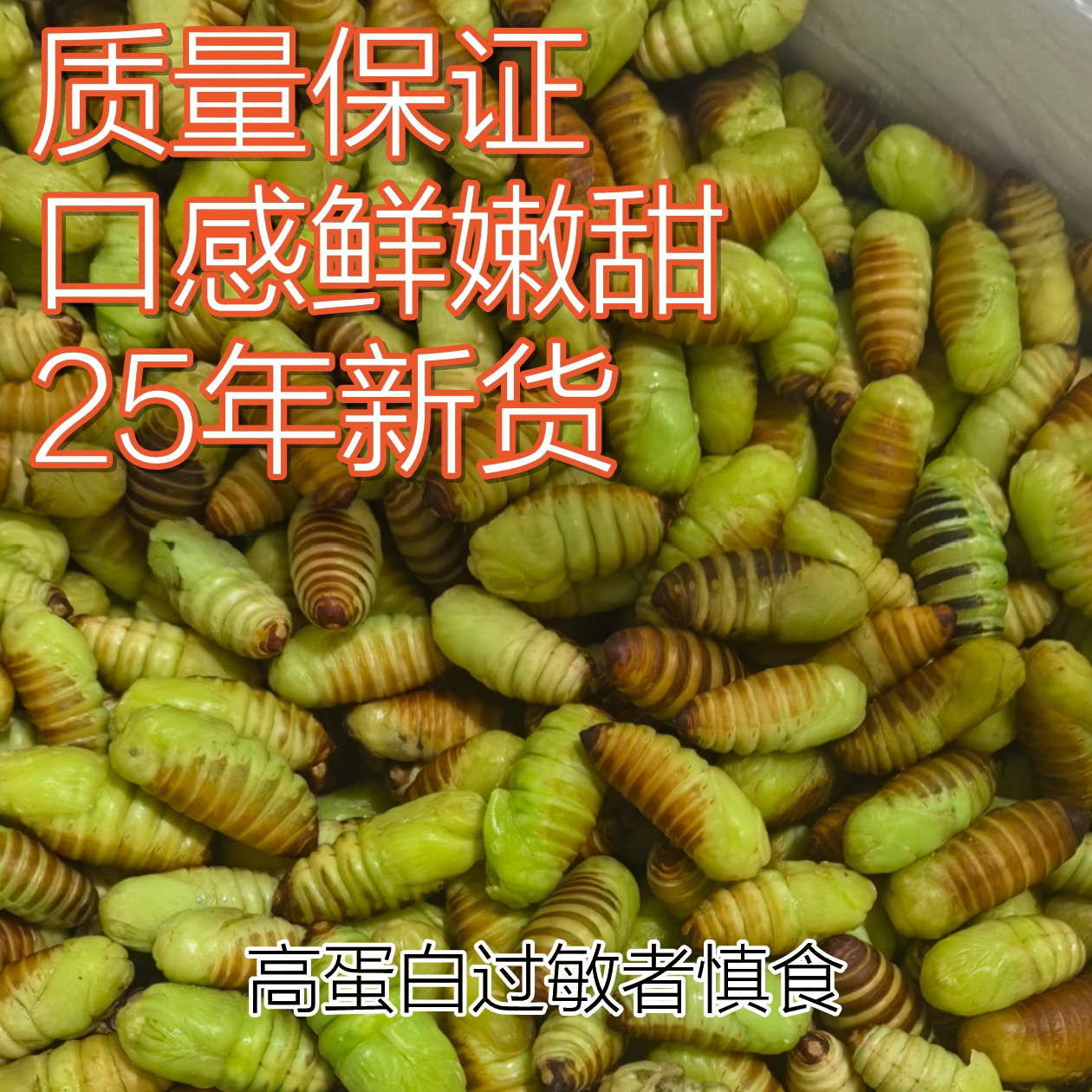东北小神仙蚕蛹嫩蛹无皮鲜甜鲜香鲜活冷冻2025新神仙