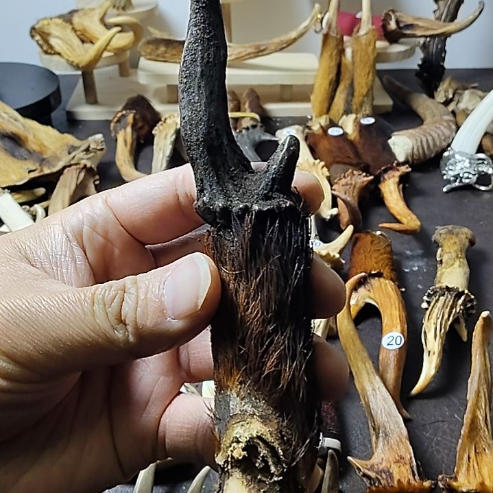 鹿角缘坊直播间选货