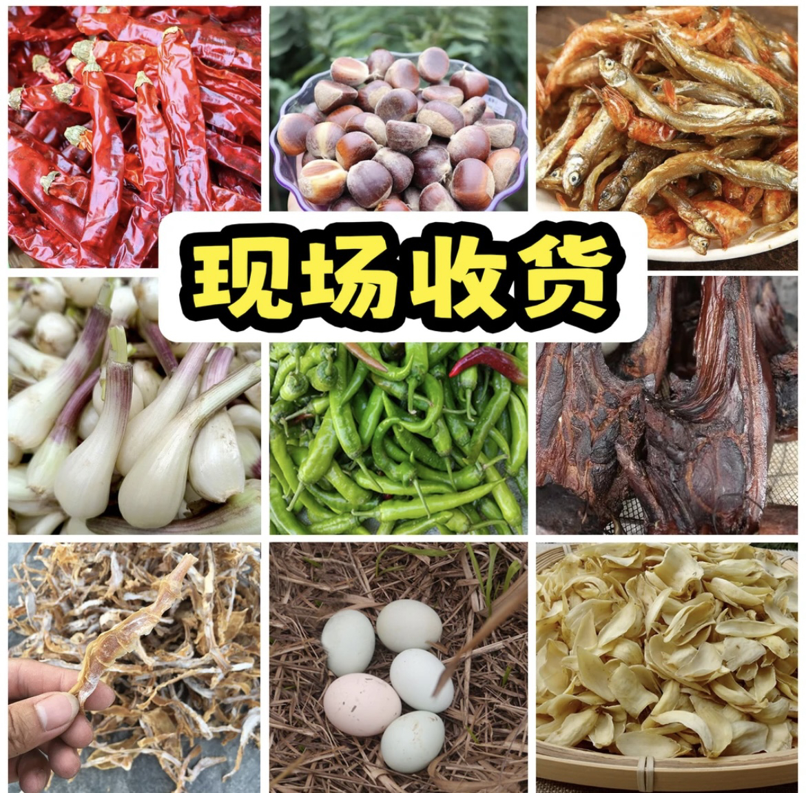东南亚滋补特产山货2号特产链接枸杞（直播间好物分享）