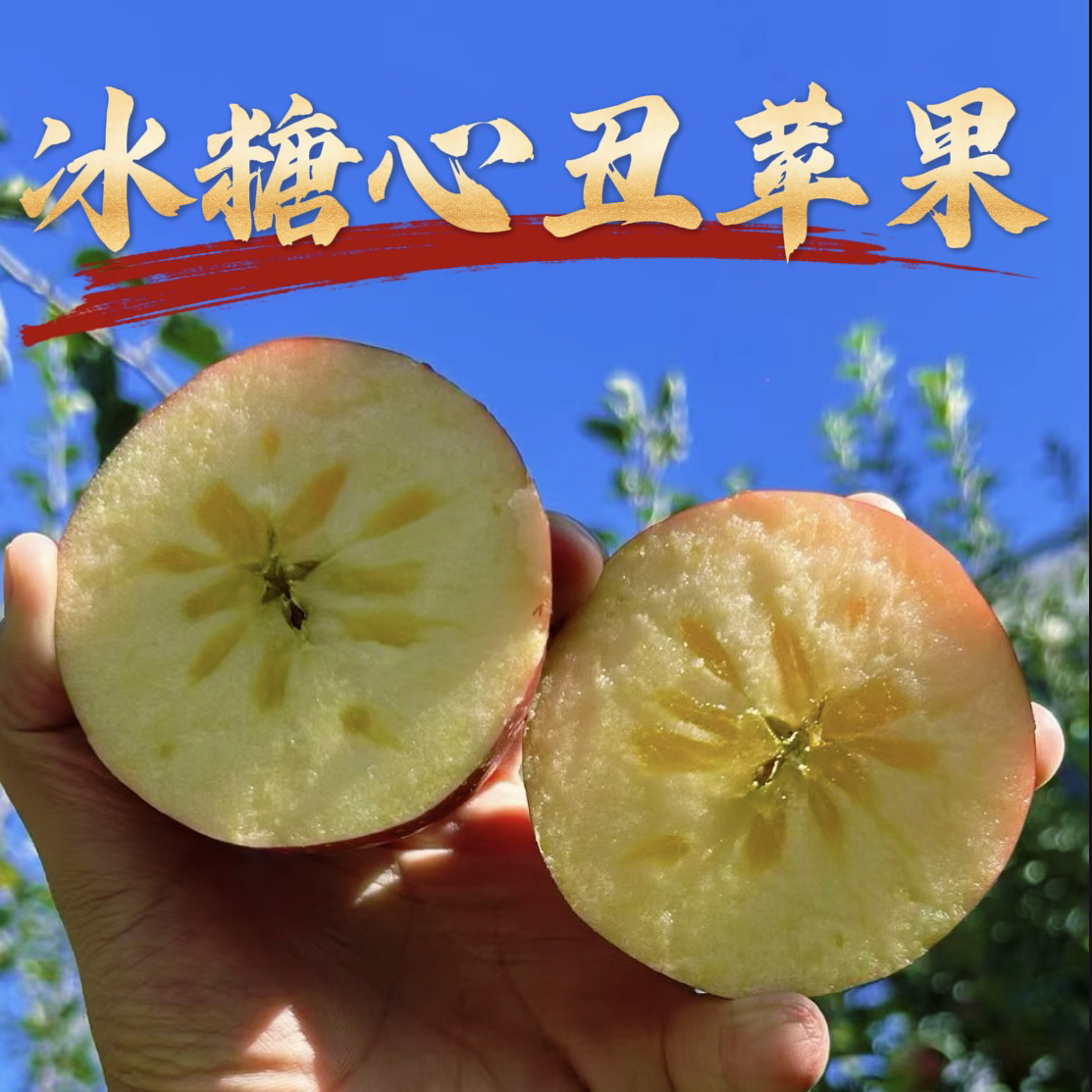 【4.5斤装云南昭通丑苹果】云南原产地新鲜现摘丑苹果脆甜爽口包邮