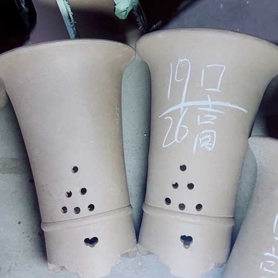 紫砂紫砂紫砂紫砂 