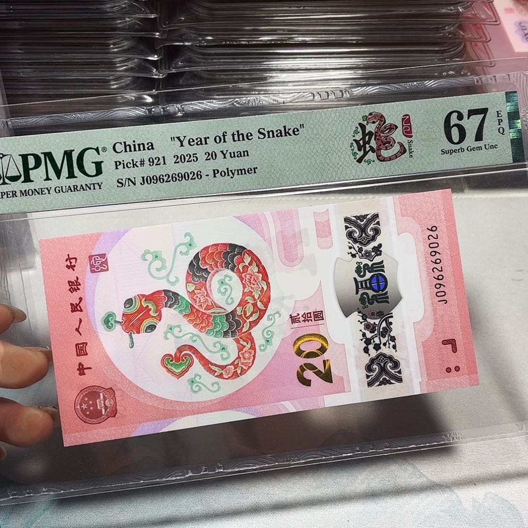 塑料096269026。。。。。龙珠