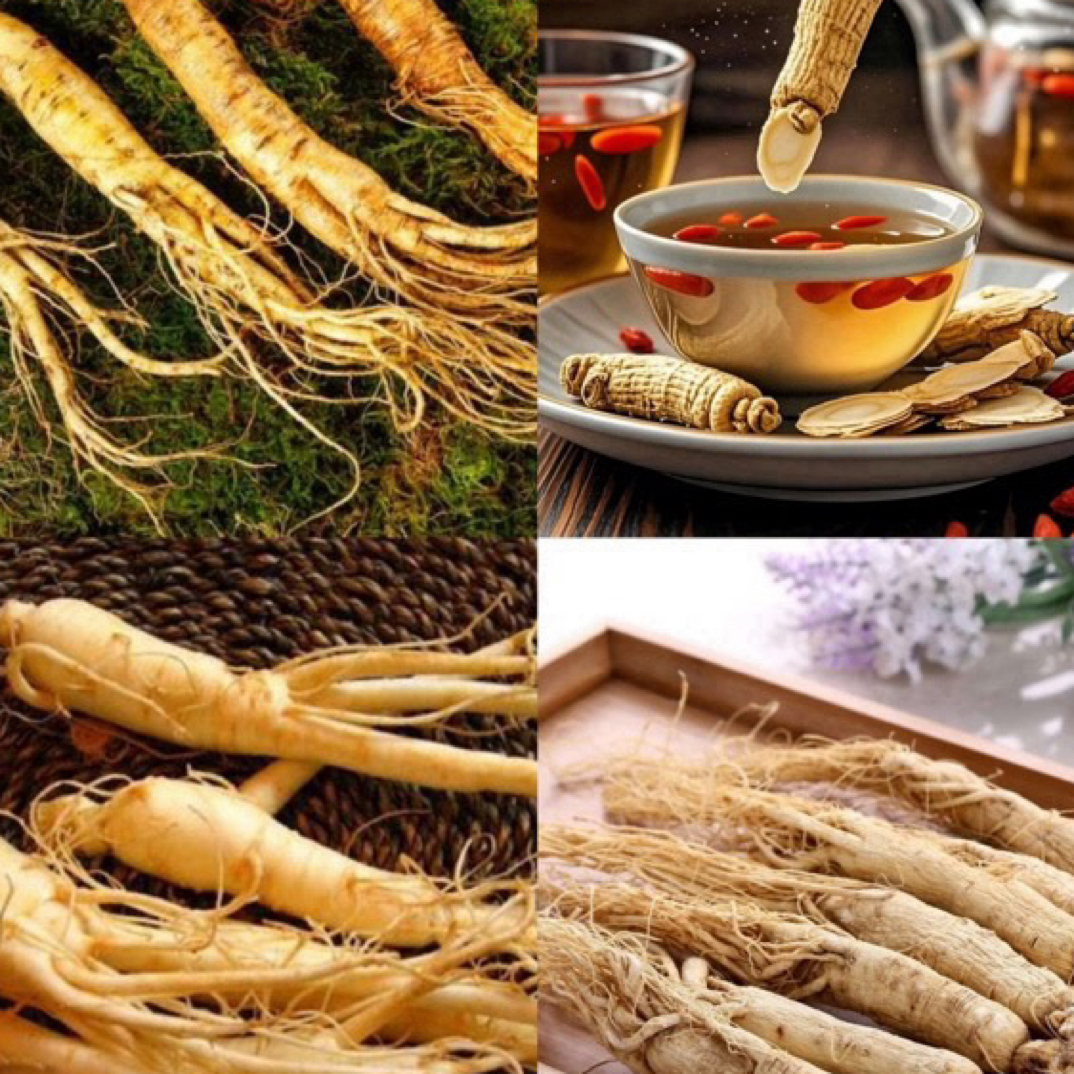 【彭彭现収山货】入-芳-天-王-三-桶-粉-（可搭配西洋参）农产品