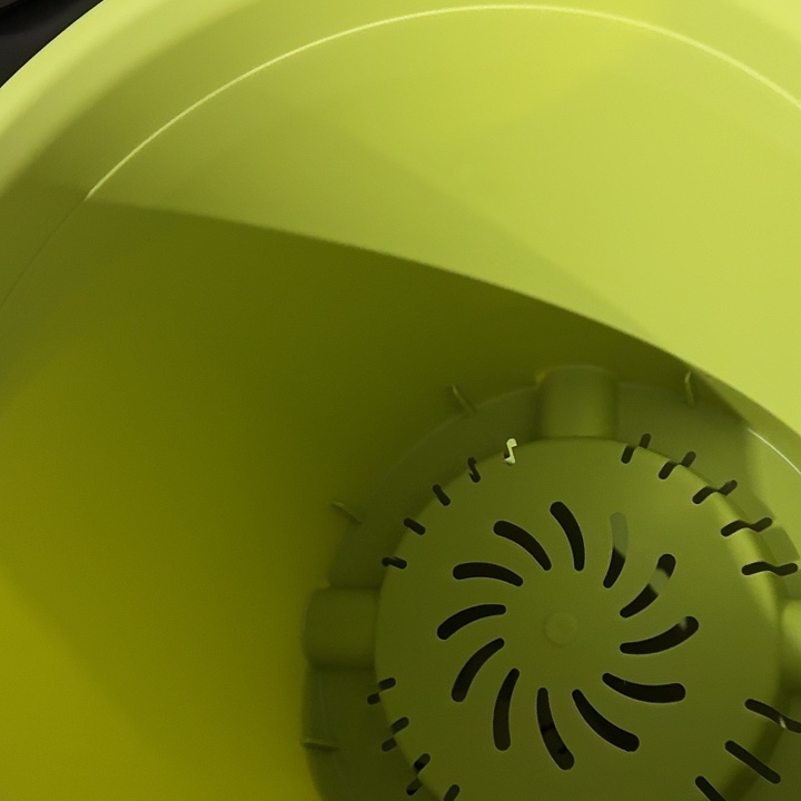 四季9号果绿无托3个