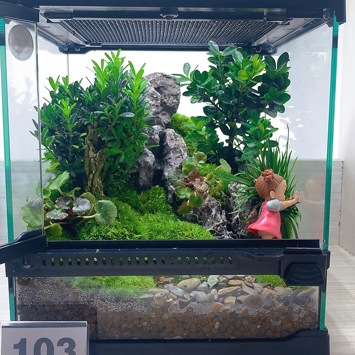 无花朵清泉石上流