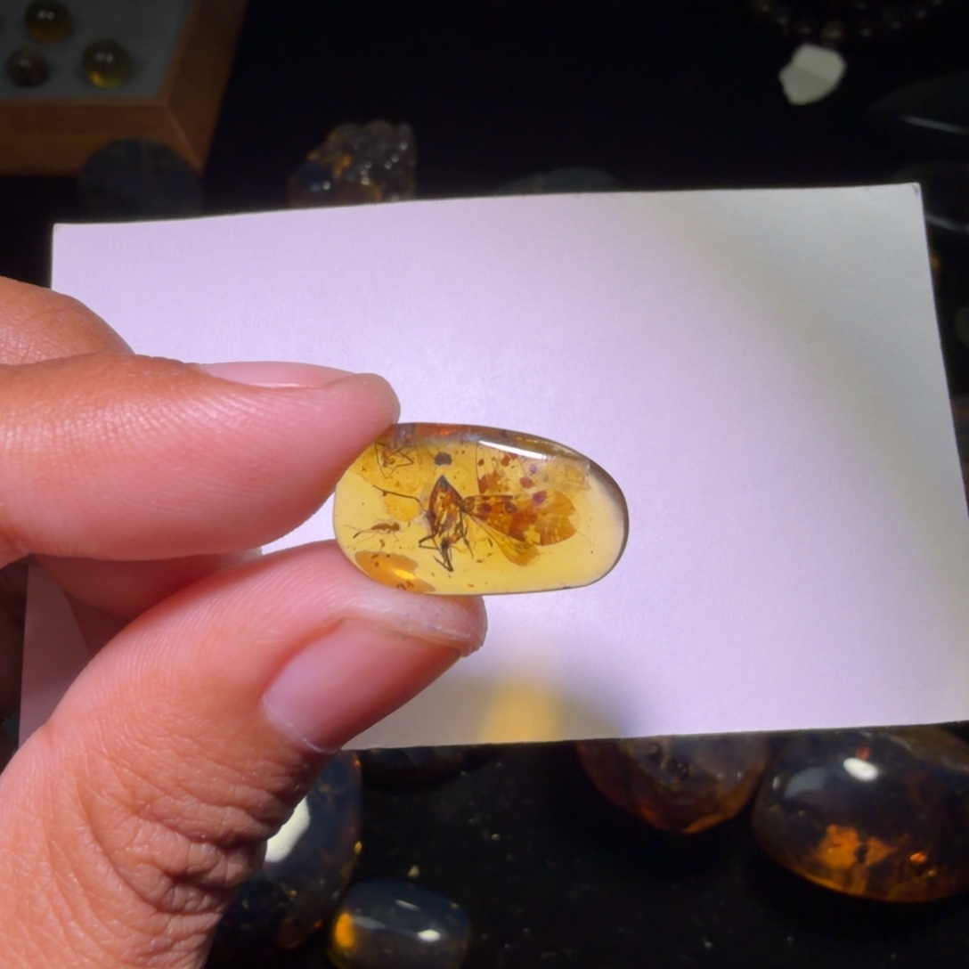 随***侧琥珀未镶嵌裸石，，