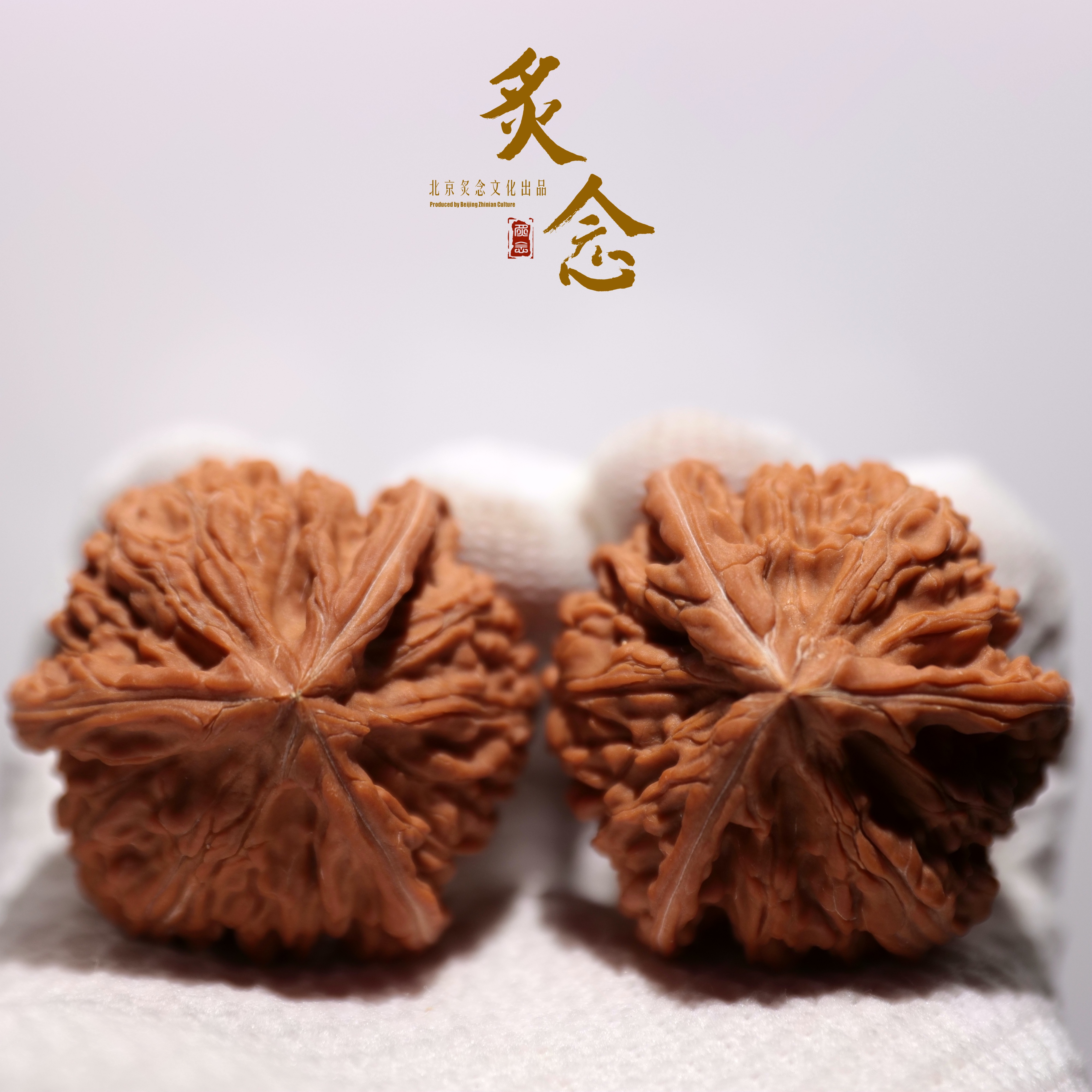 御龙粗筋正奔 · 43  一物一图 文玩好物 文山正奔