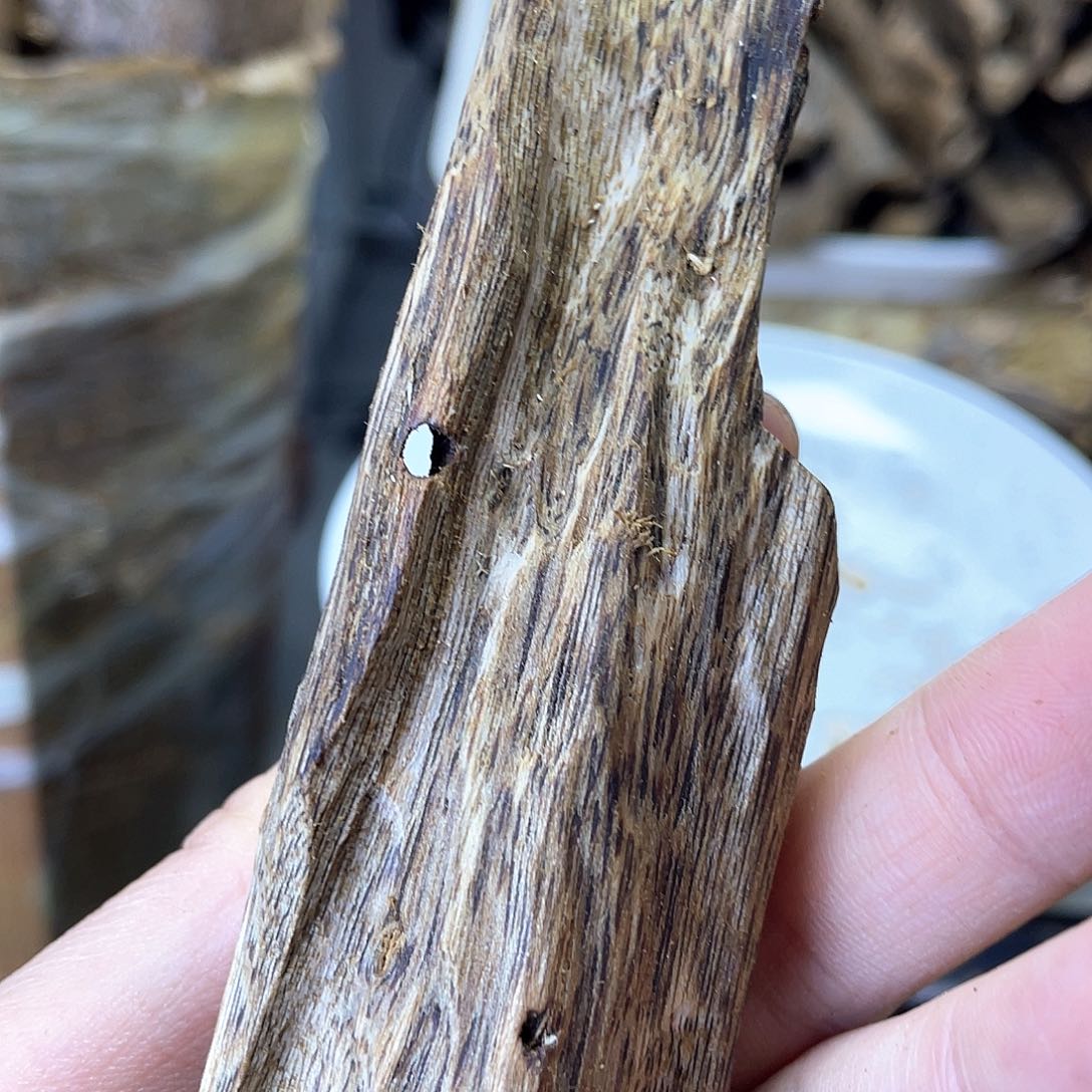 木绿奇楠原材料虫漏23克