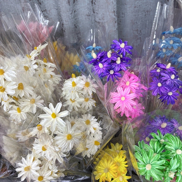 文心兰天然植物干花手工DIY艺术家居装饰插花