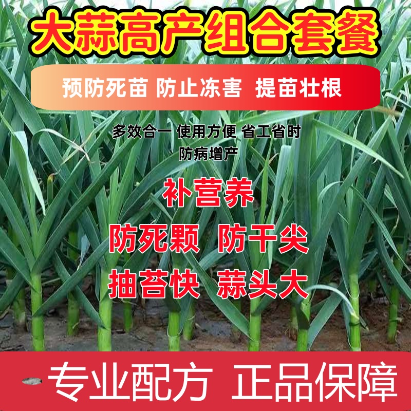 大蒜干尖灵 防治缺素性及细菌性黄叶斑点烂根早衰叶枯 增产一喷绿