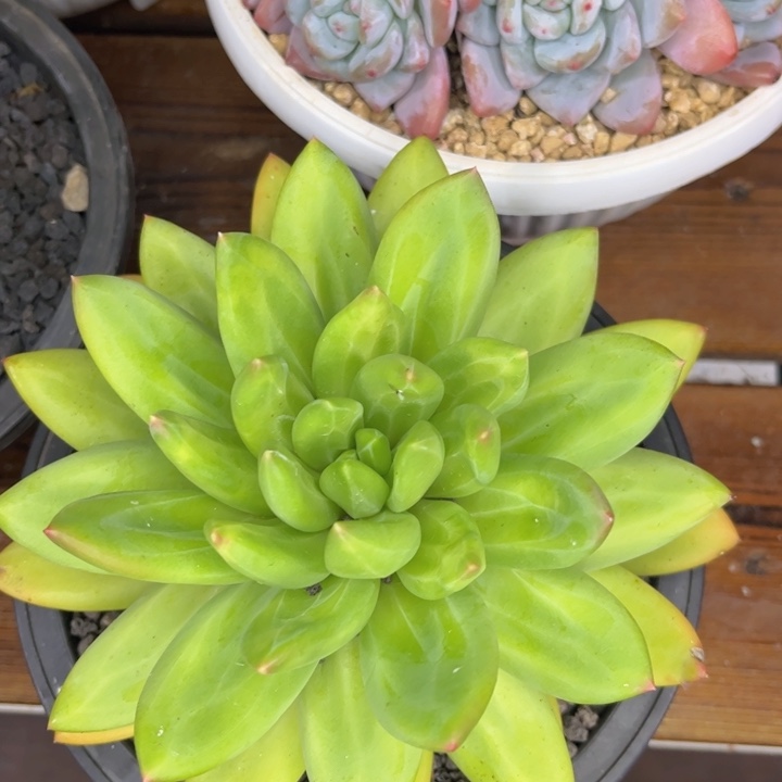 一物一拍，海洋之歌。