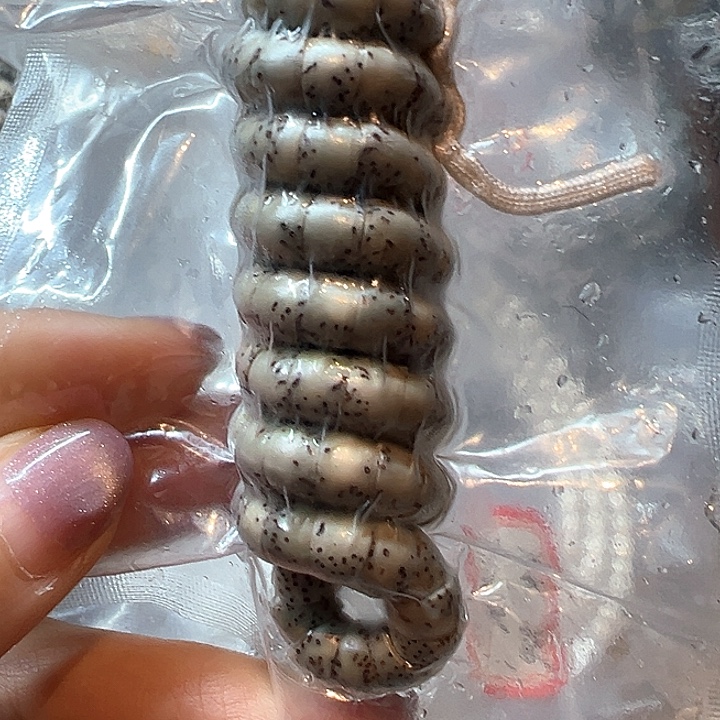 吊坠星月菩提海南原生态卡7大肠福利