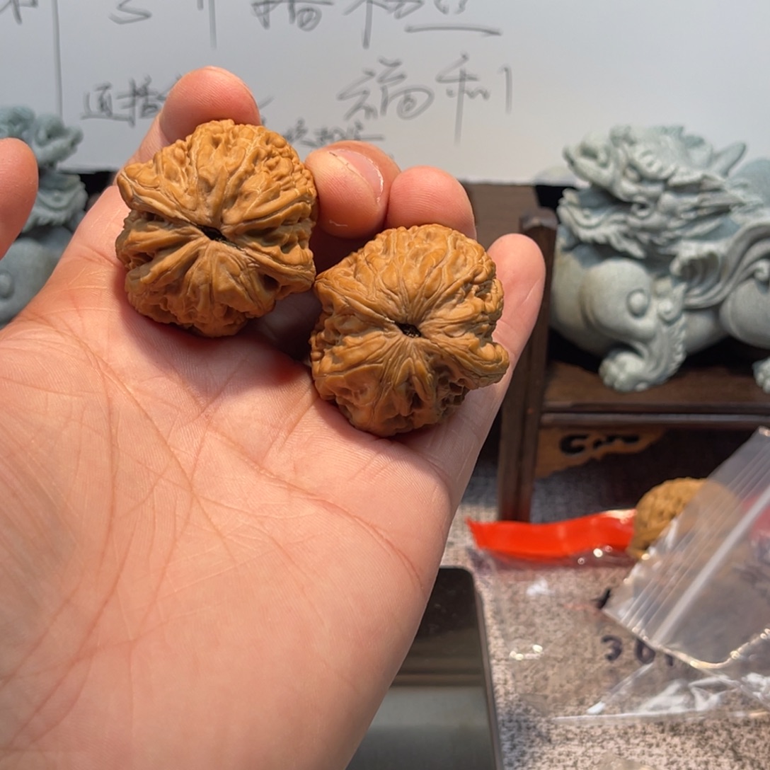 大叶紫檀（黑酸枝木类）