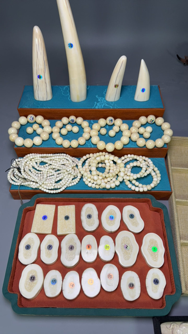 猛犸虬切片素牌虬角手串手串