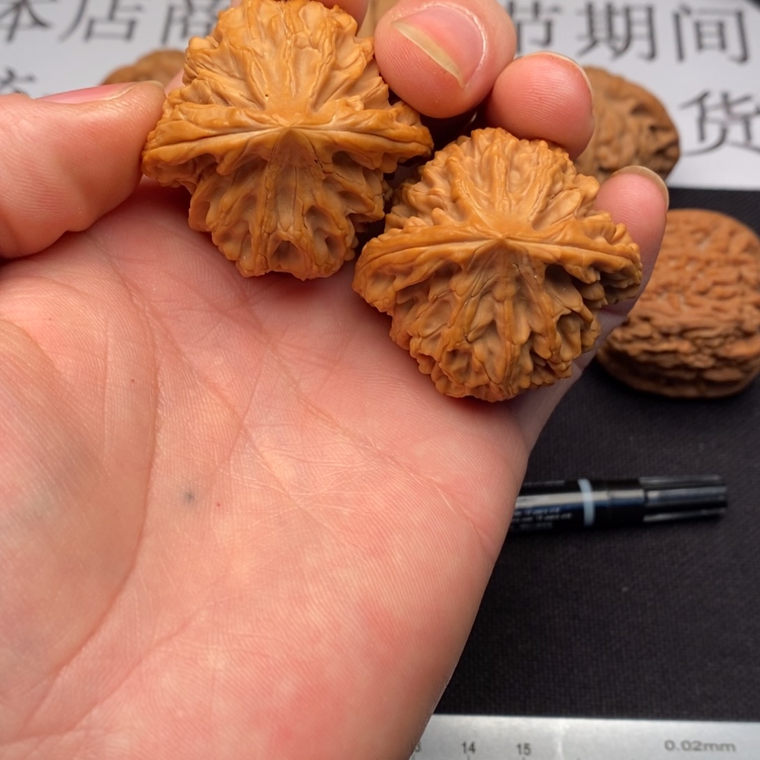 41全品龙门涧狮子头