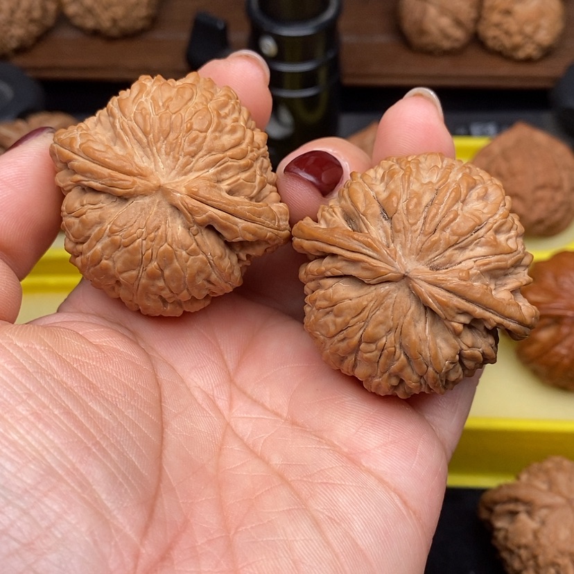 【闪购商品】桃核把件白狮子文玩核桃45.5