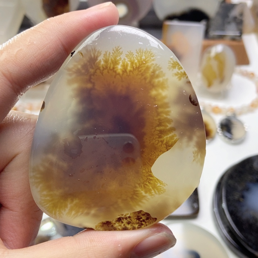 【闪购商品】玛瑙/玉髓颈饰未镶嵌