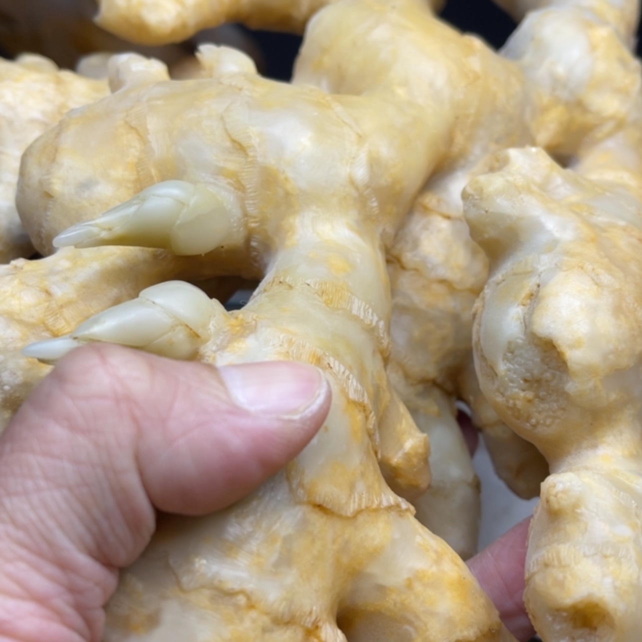 【闪购商品】寿山石F**.…………………………