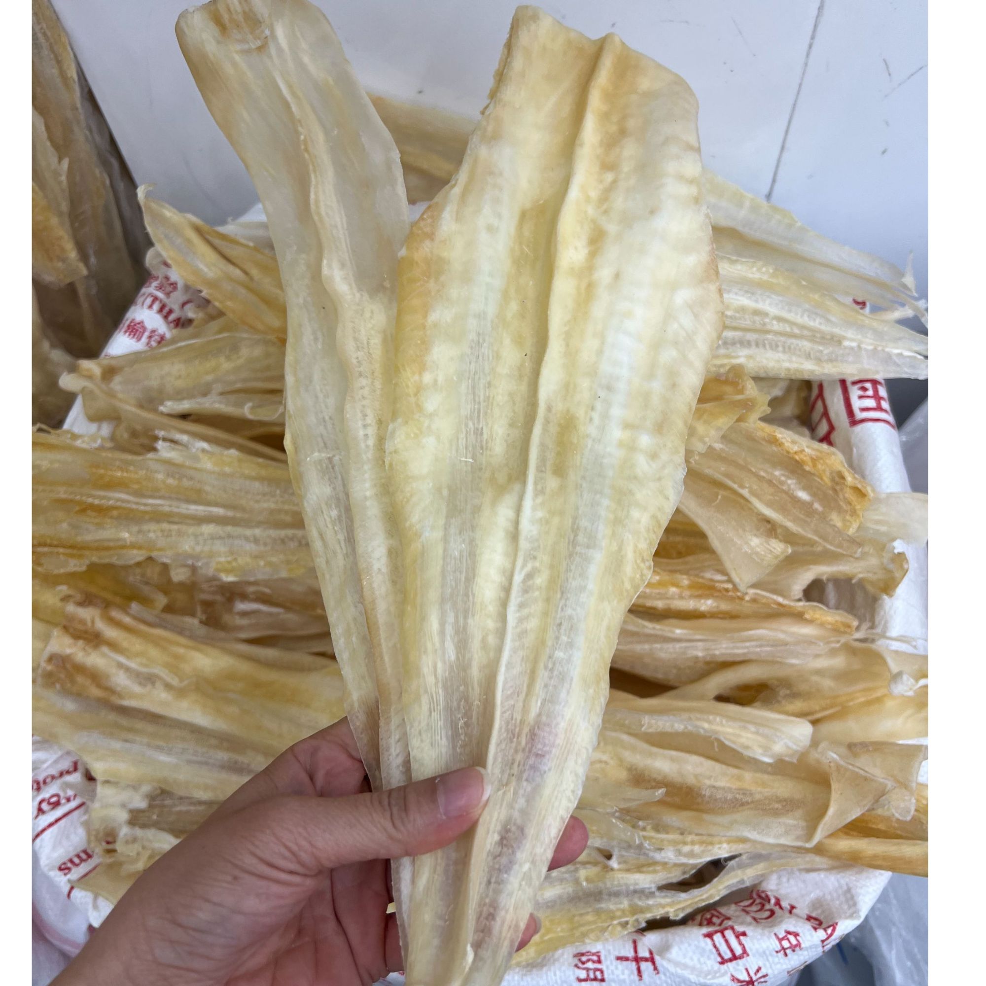 培辉堂14-16 鱼唇 干货（默认切好）