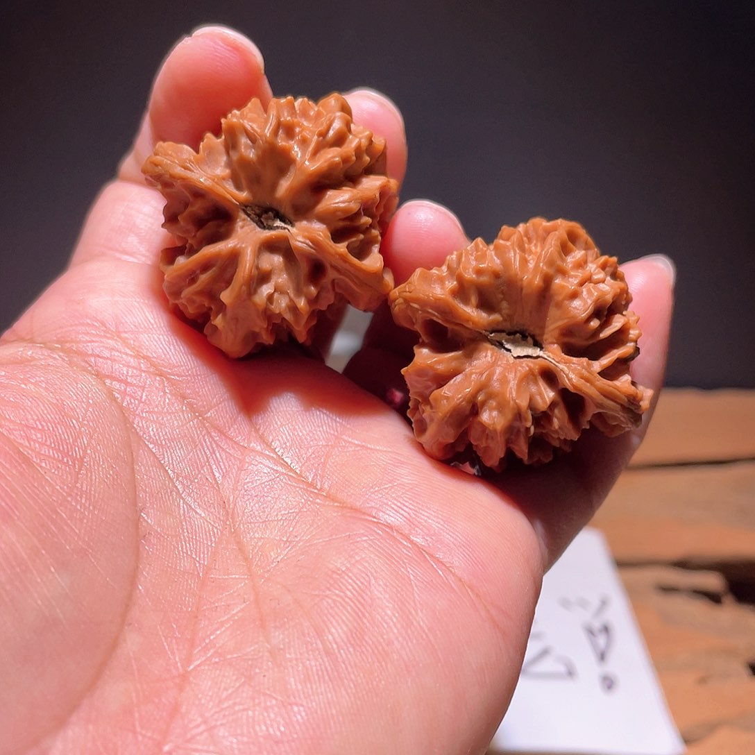 喀*咪s047 36尺 大龙