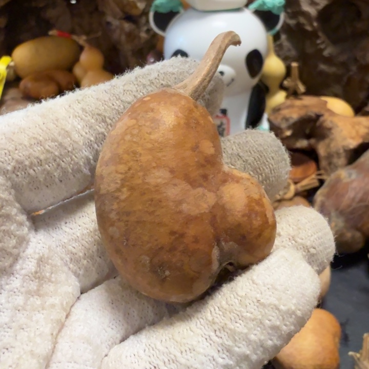 那***星76666666677777777788